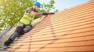 Best Roof Maintenance and Cleaning  in Moose Lake, MN