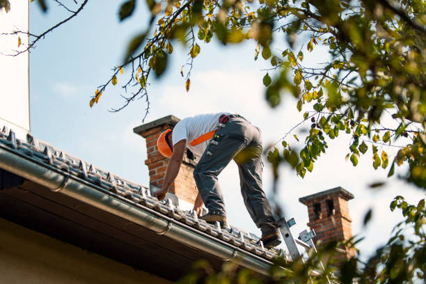 Best Roof Installation  in Moose Lake, MN