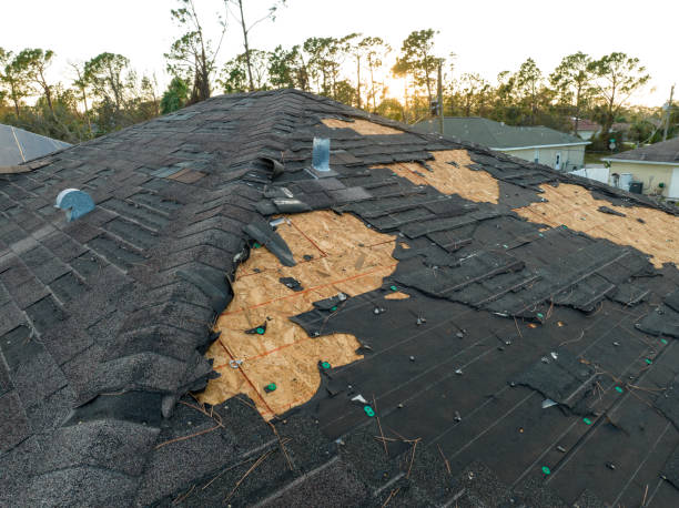 Best Solar Panel Roofing Installation  in Moose Lake, MN