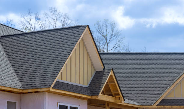 Best Rubber Roofing (EPDM, TPO)  in Moose Lake, MN